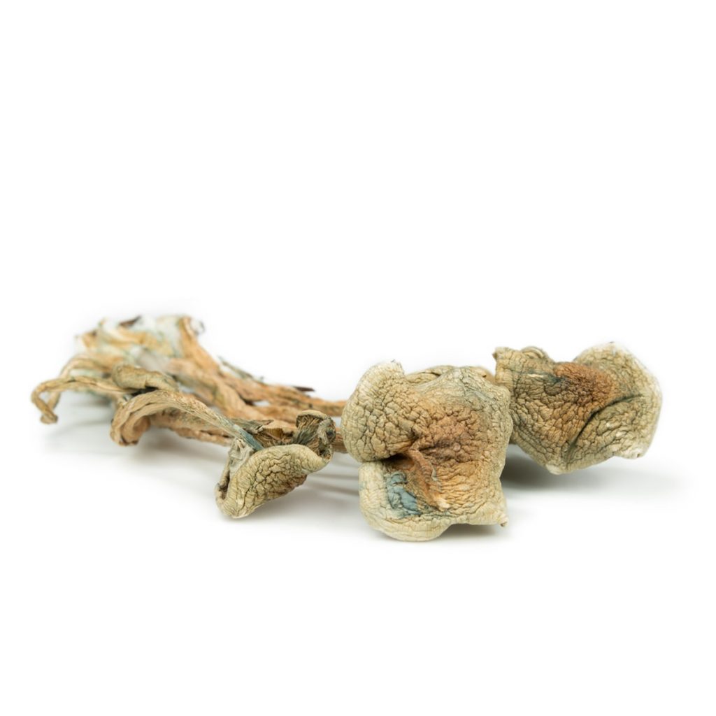 Dallas Magic Mushrooms Dispensary