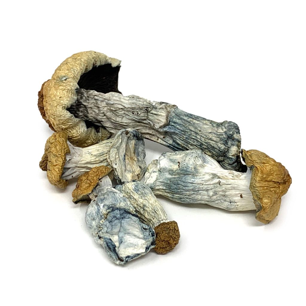 Psilocybin Mushrooms For Sale Deschutes