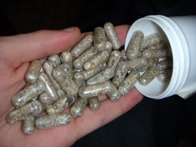 Buy Magic Mushroom Capsules