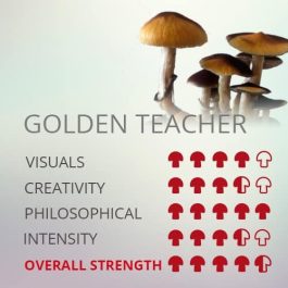 Golden Teacher Mushrooms