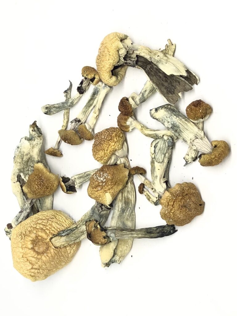 Buy Magic Mushrooms Wasco