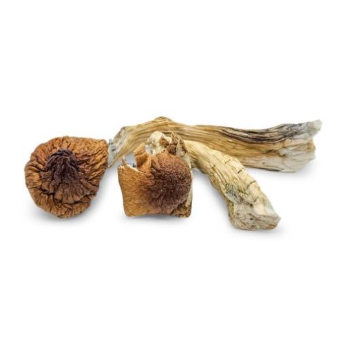 Dispensaries That Sell Mushrooms